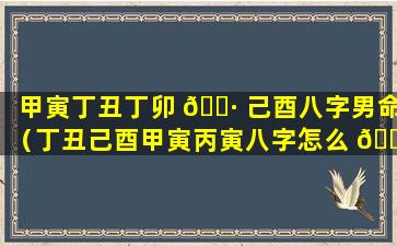 甲寅丁丑丁卯 🌷 己酉八字男命（丁丑己酉甲寅丙寅八字怎么 🐬 样）